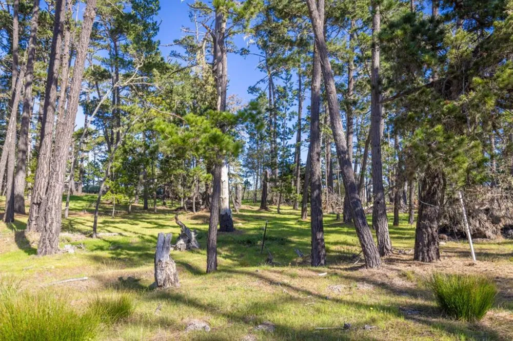 1407 Viscaino Road Pebble Beach, CA 93953