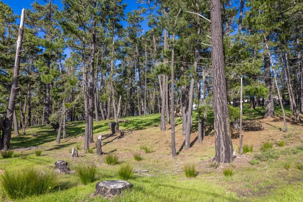 1401 Viscaino Road Pebble Beach, CA 93953
