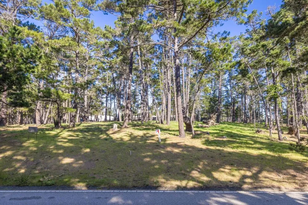 1401 Viscaino Road Pebble Beach, CA 93953