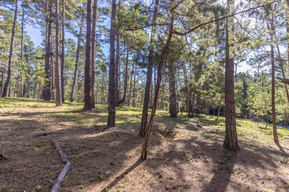 1401 Viscaino Road Pebble Beach, CA 93953