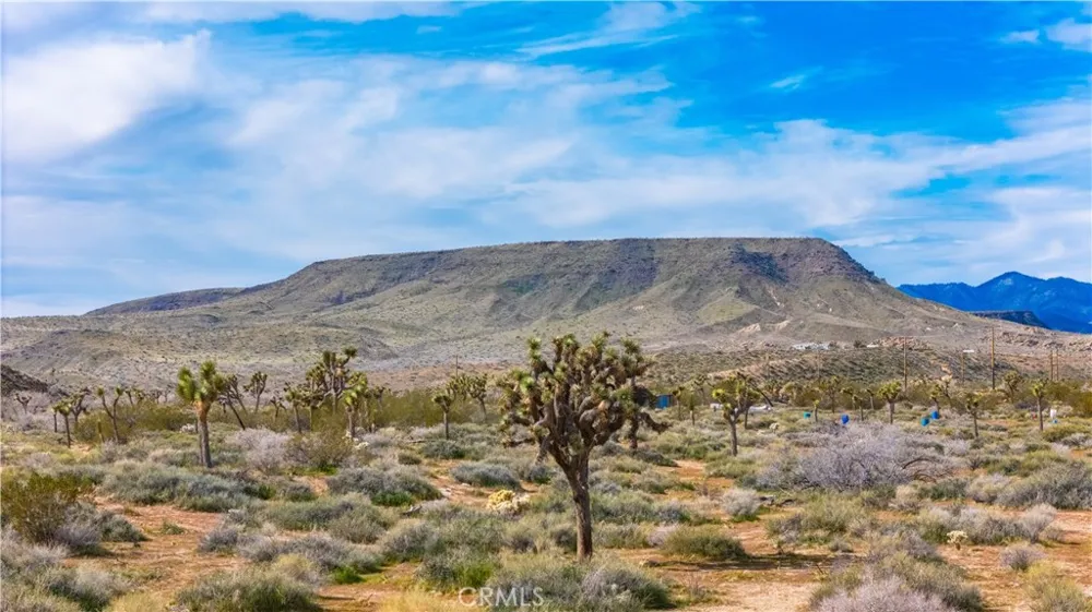 55455 Pipes Canyon Pioneertown, CA 92268