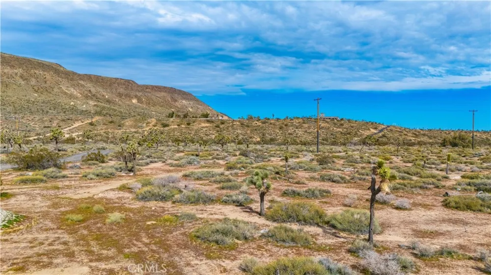 55455 Pipes Canyon Pioneertown, CA 92268