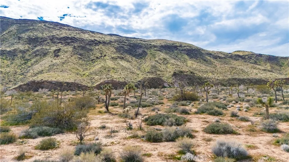 55455 Pipes Canyon Pioneertown, CA 92268
