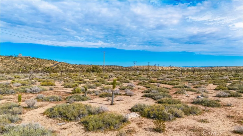 55455 Pipes Canyon Pioneertown, CA 92268