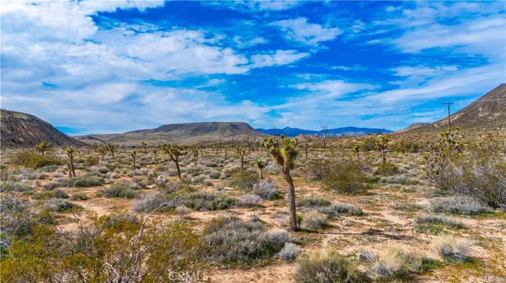 55455 Pipes Canyon Pioneertown, CA 92268