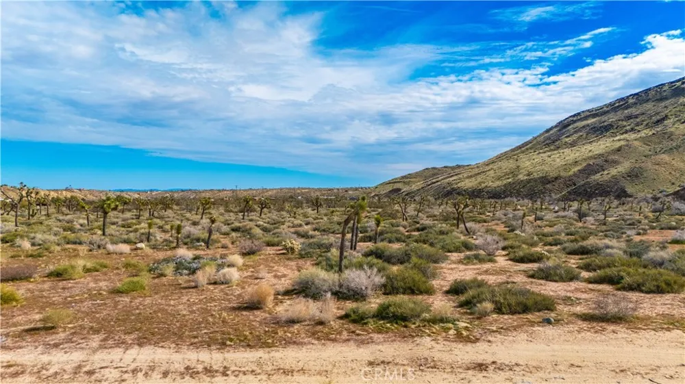 55455 Pipes Canyon Pioneertown, CA 92268