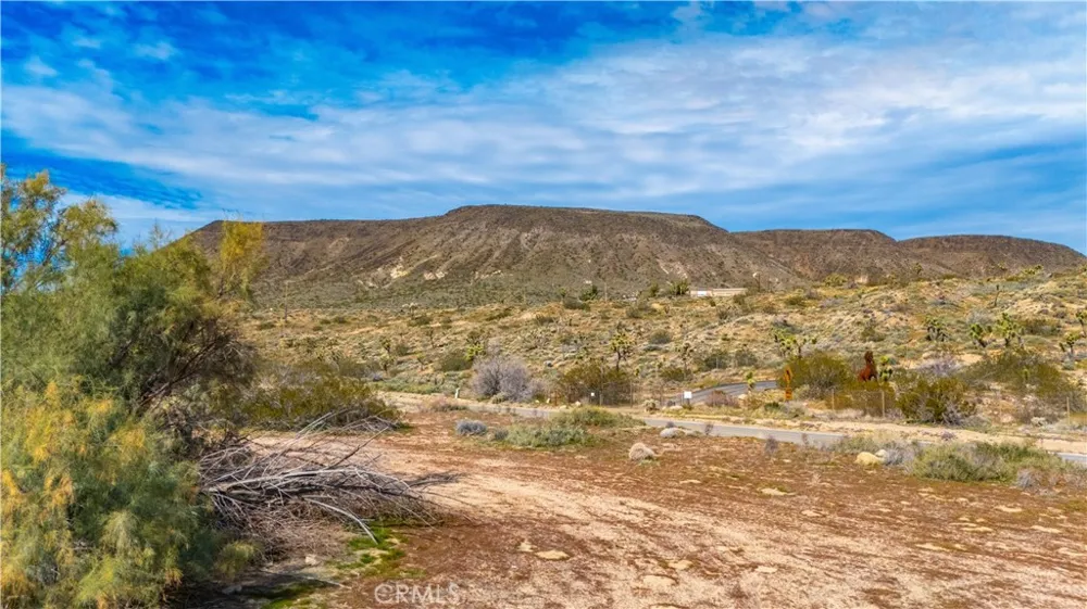55455 Pipes Canyon Pioneertown, CA 92268