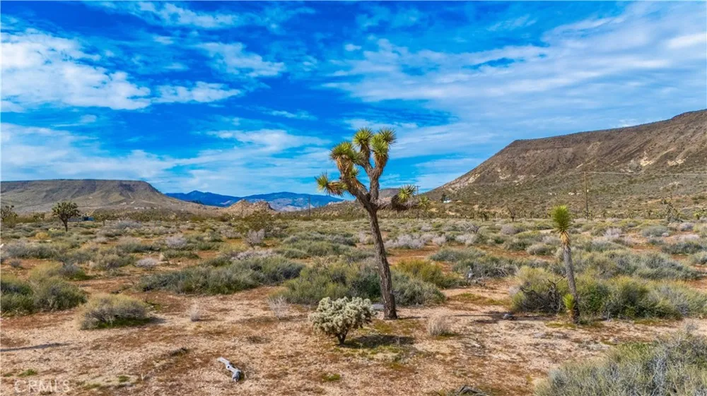 55455 Pipes Canyon Pioneertown, CA 92268