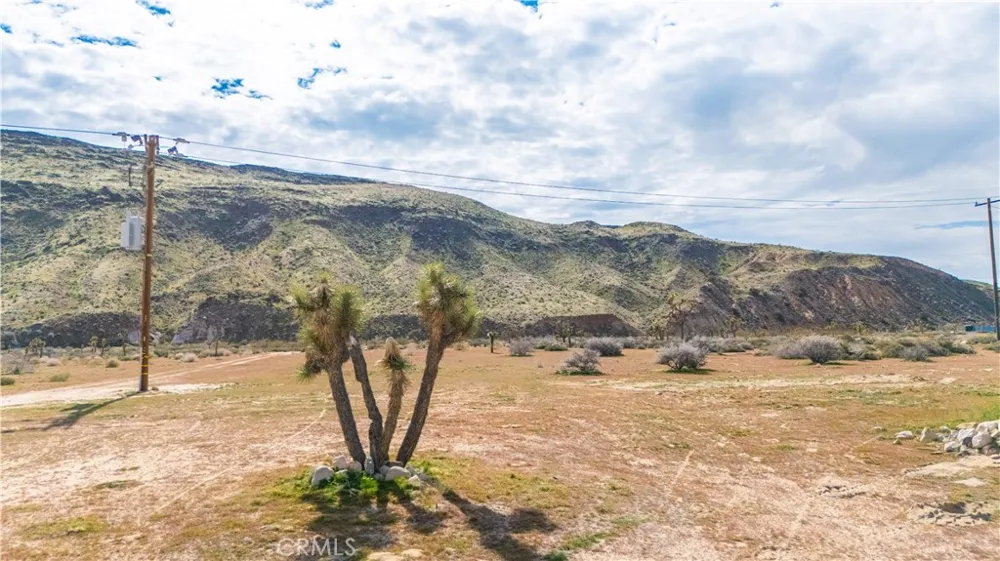 55455 Pipes Canyon Pioneertown, CA 92268