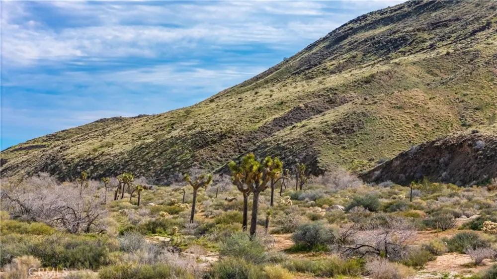 55455 Pipes Canyon Pioneertown, CA 92268