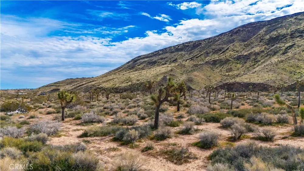 55455 Pipes Canyon Pioneertown, CA 92268