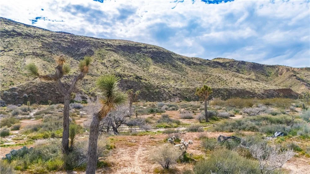 55455 Pipes Canyon Pioneertown, CA 92268