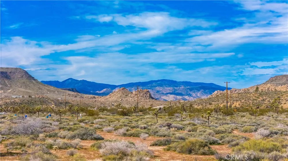55455 Pipes Canyon Pioneertown, CA 92268