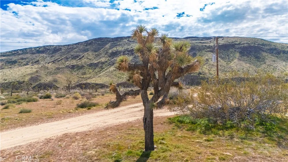 55455 Pipes Canyon Pioneertown, CA 92268