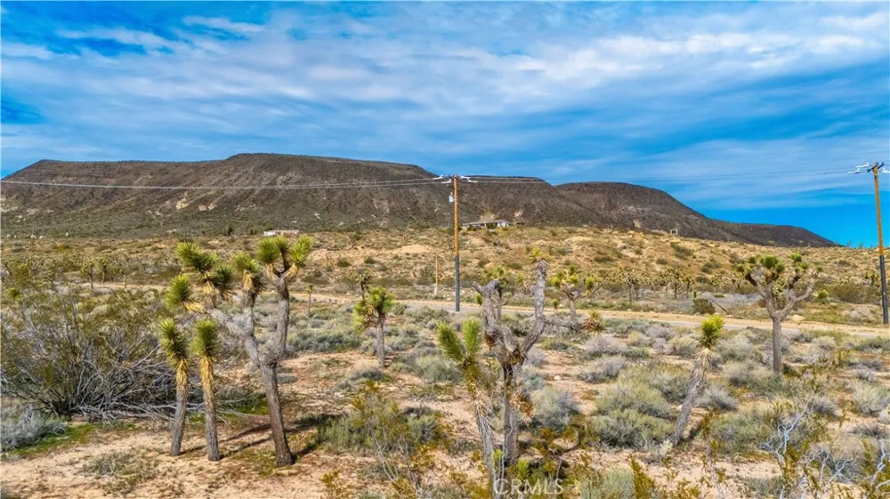 55455 Pipes Canyon Pioneertown, CA 92268