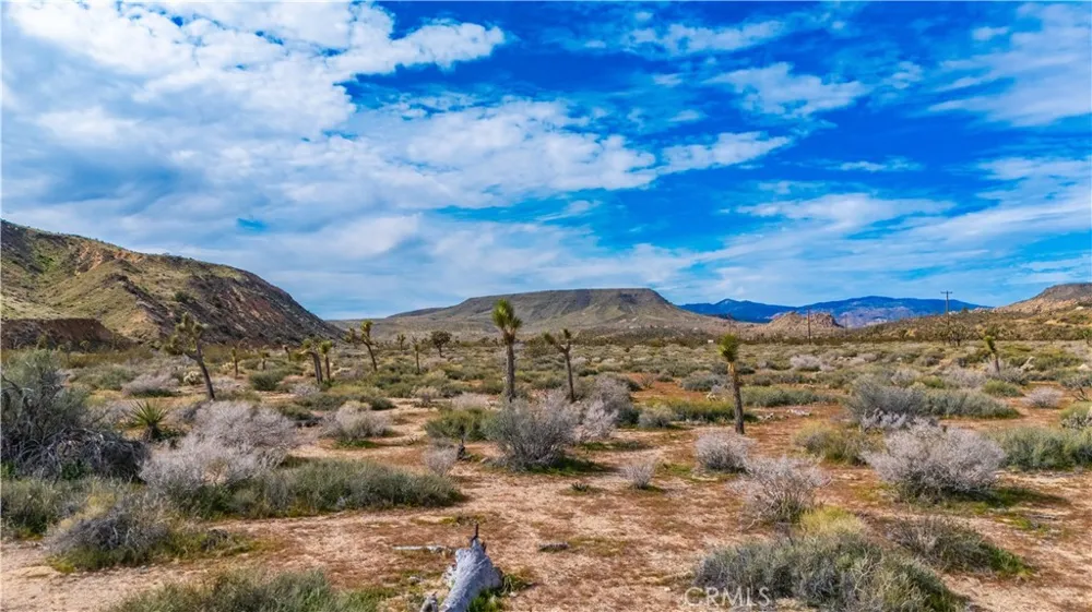 55455 Pipes Canyon Pioneertown, CA 92268