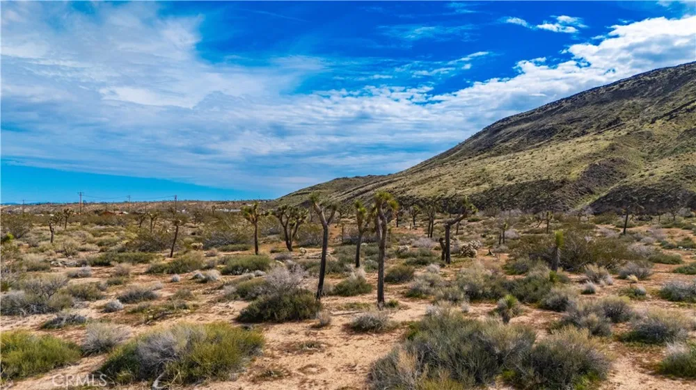 55455 Pipes Canyon Pioneertown, CA 92268