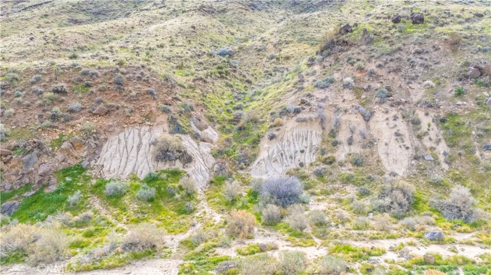 55455 Pipes Canyon Pioneertown, CA 92268