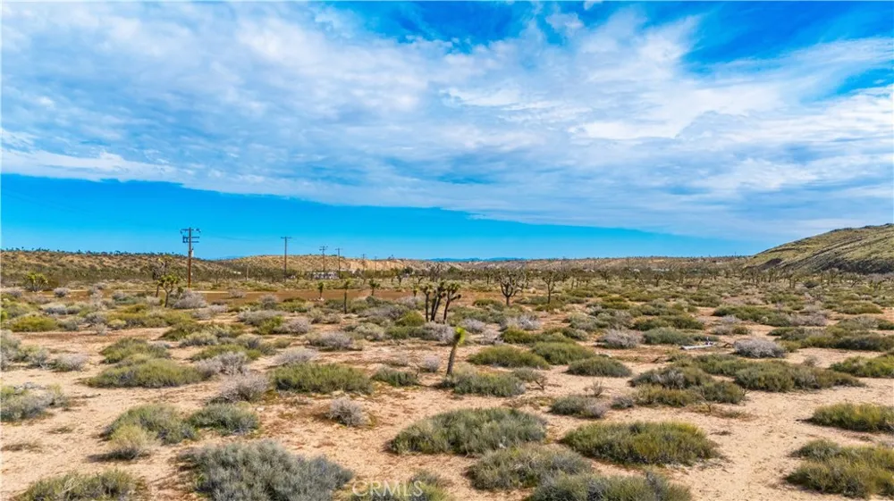 55455 Pipes Canyon Pioneertown, CA 92268