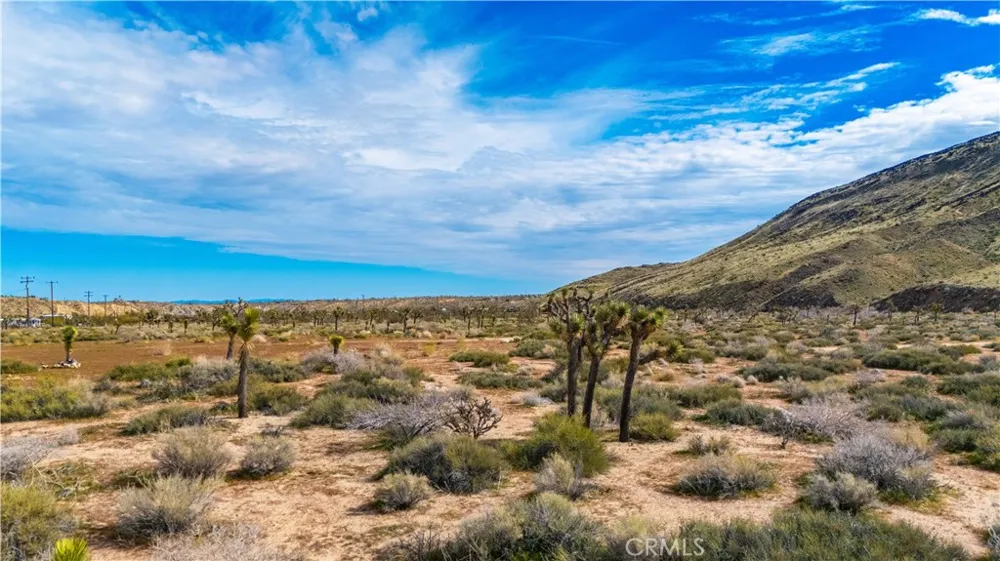55455 Pipes Canyon Pioneertown, CA 92268