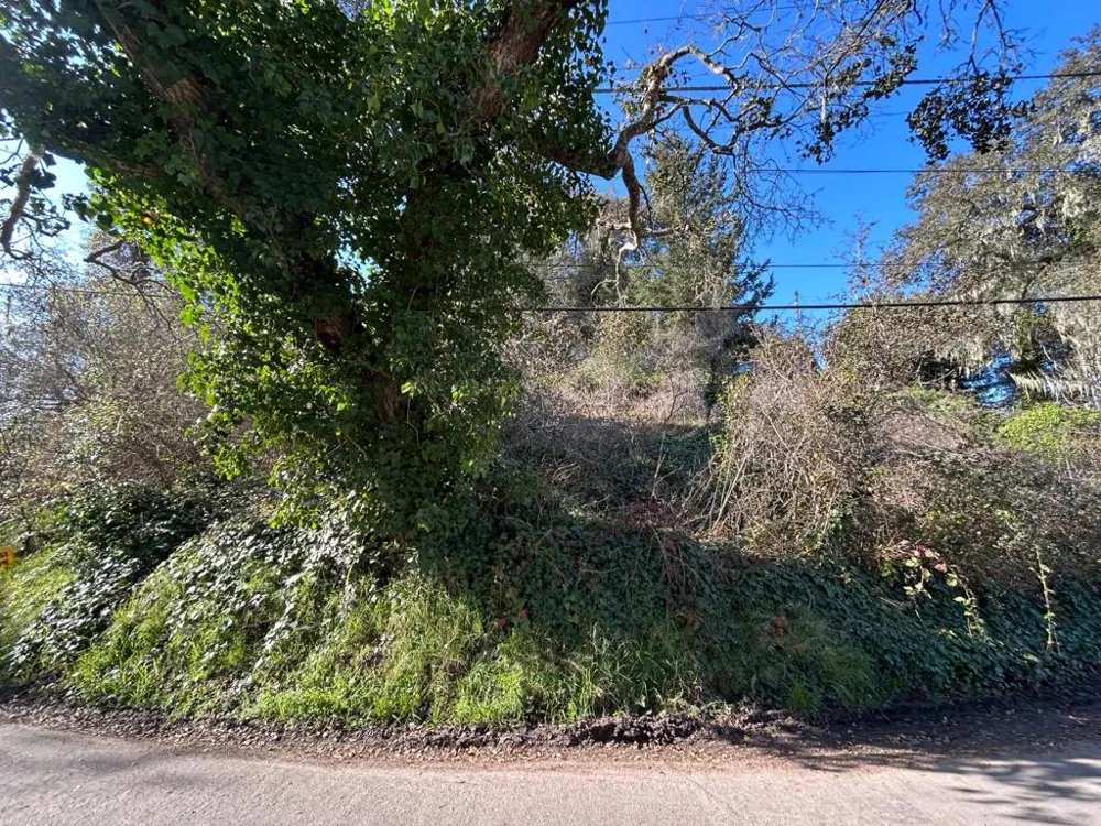 Loma Prieta Drive Aptos, CA 95003