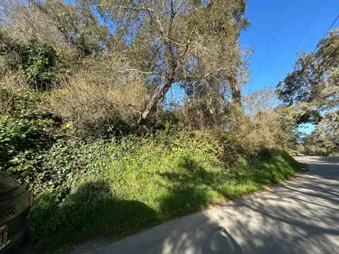 Loma Prieta Drive