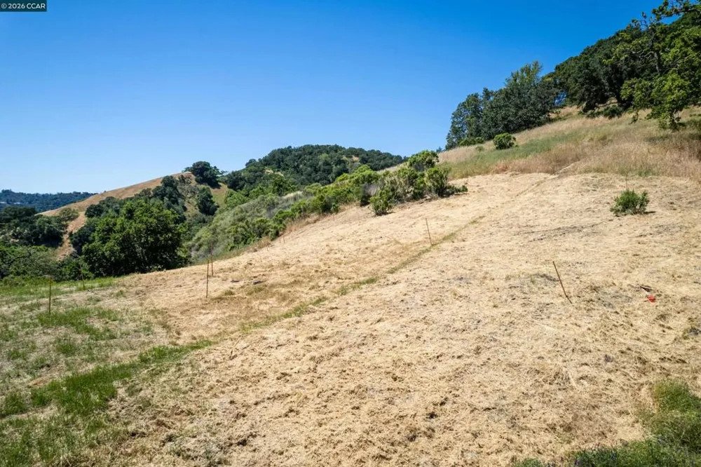 Monticello Rd. Lafayette, CA 94549