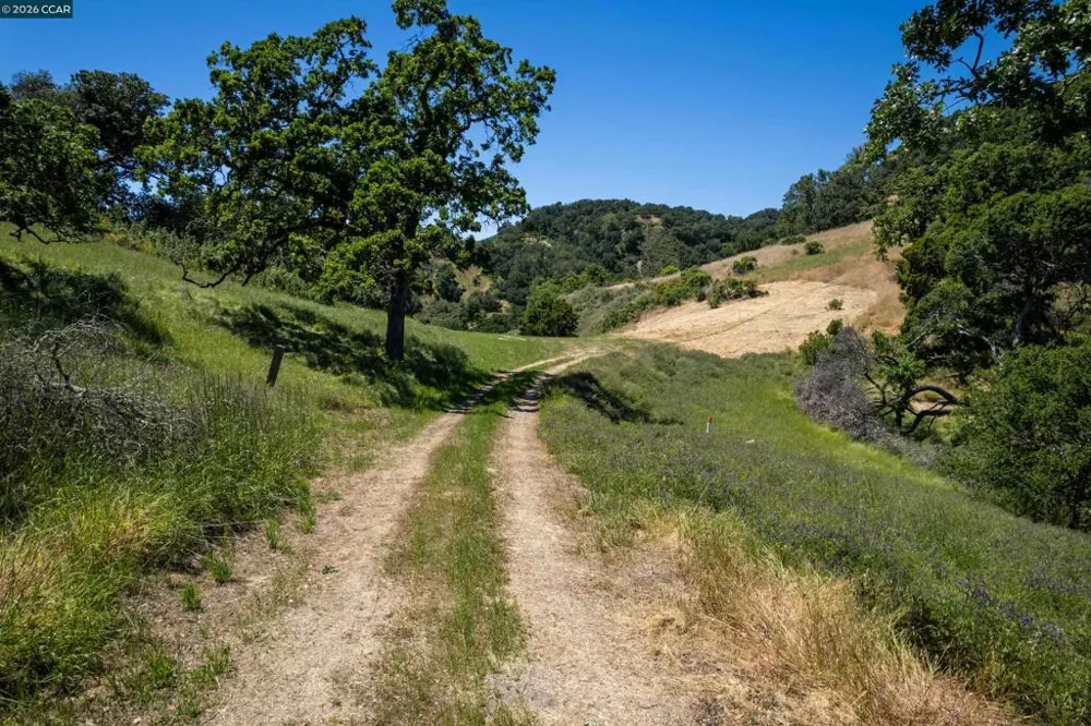 Monticello Rd. Lafayette, CA 94549