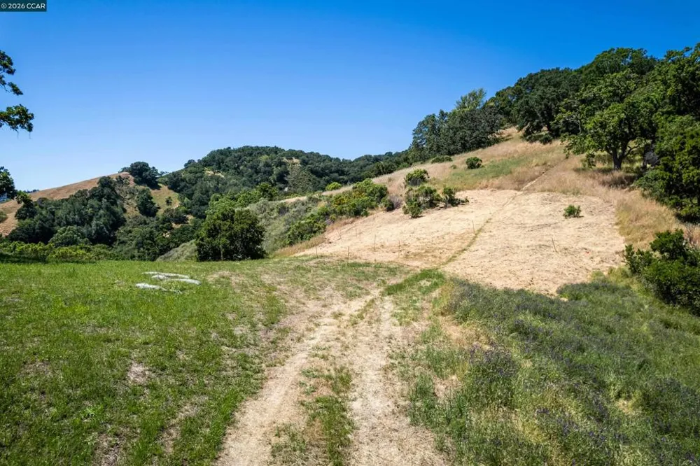 Monticello Rd. Lafayette, CA 94549