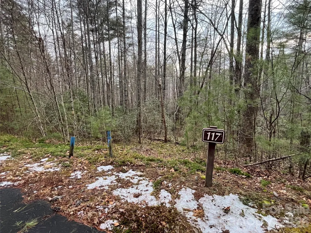 Lot 117 Huckleberry Ridge Lane Zirconia, NC 28790