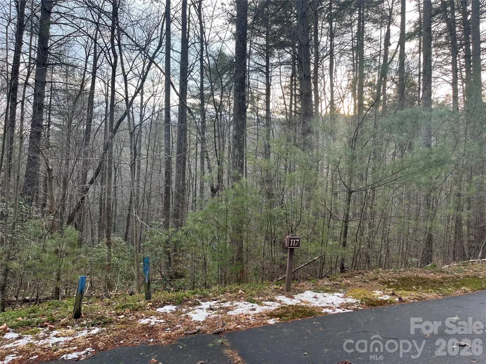 Lot 117 Huckleberry Ridge Lane Zirconia, NC 28790