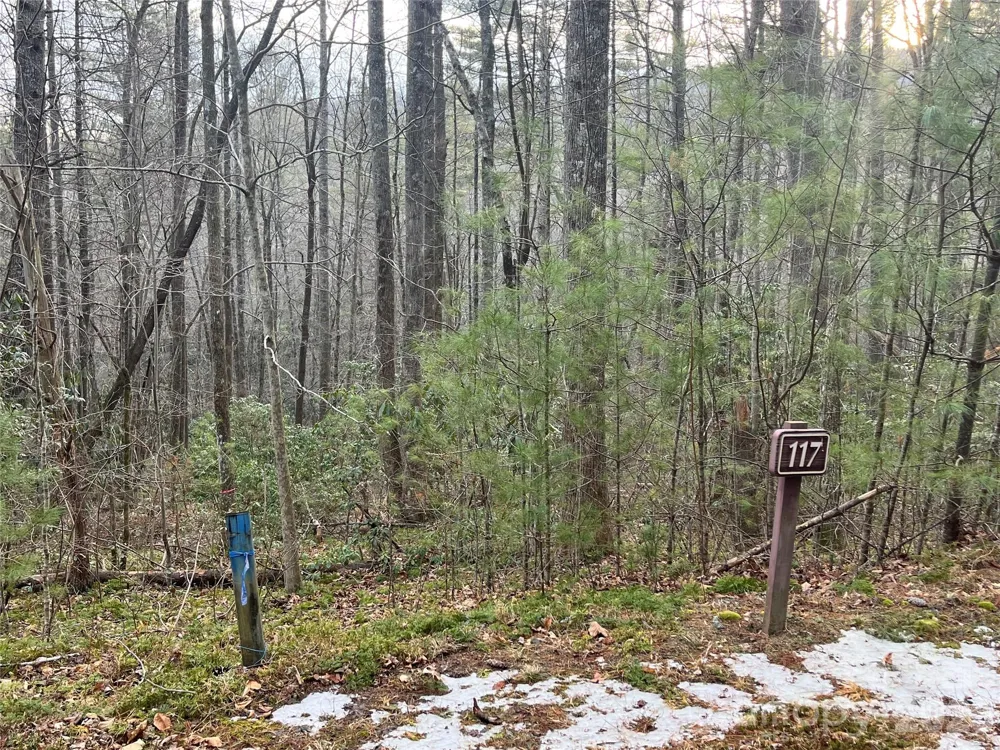 Lot 117 Huckleberry Ridge Lane Zirconia, NC 28790