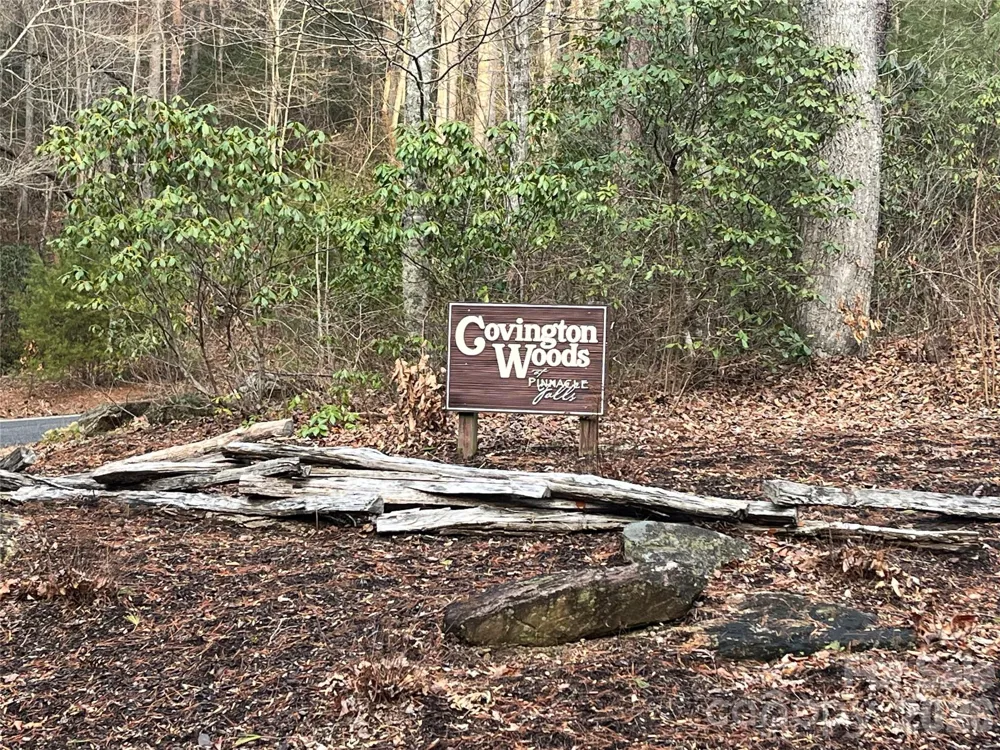 Lot 117 Huckleberry Ridge Lane Zirconia, NC 28790