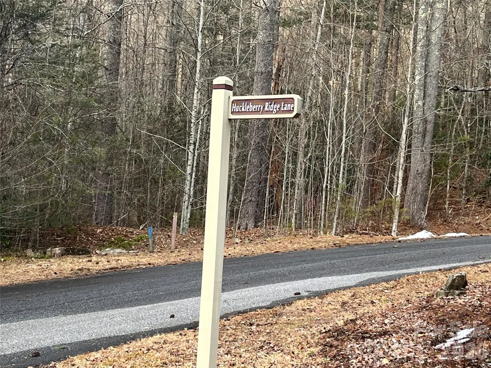 Lot 117 Huckleberry Ridge Lane Zirconia, NC 28790
