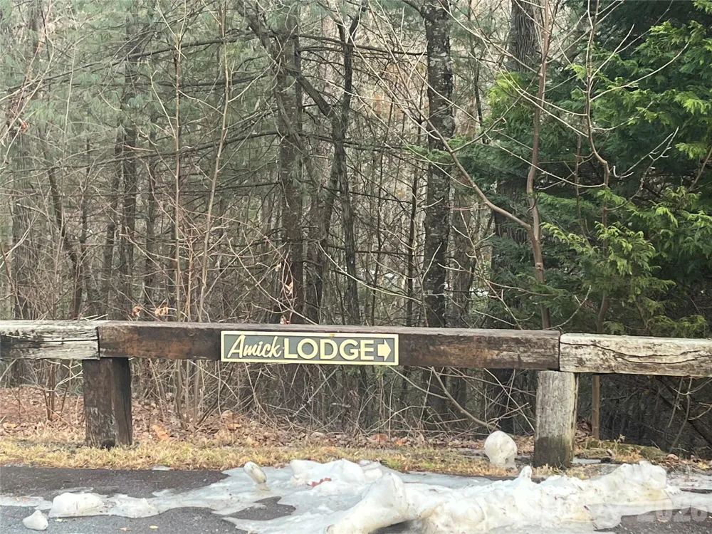 Lot 117 Huckleberry Ridge Lane Zirconia, NC 28790