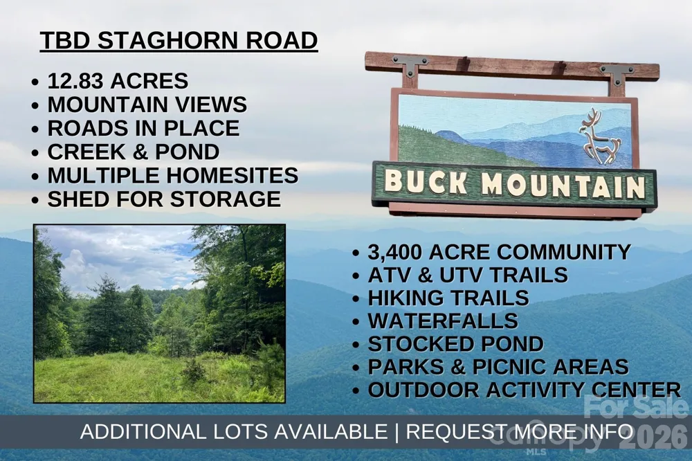 TBD Staghorn Road Purlear, NC 28665
