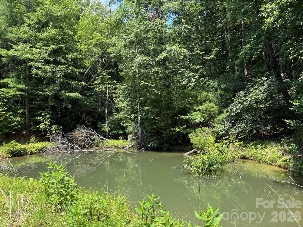 TBD Staghorn Road Purlear, NC 28665