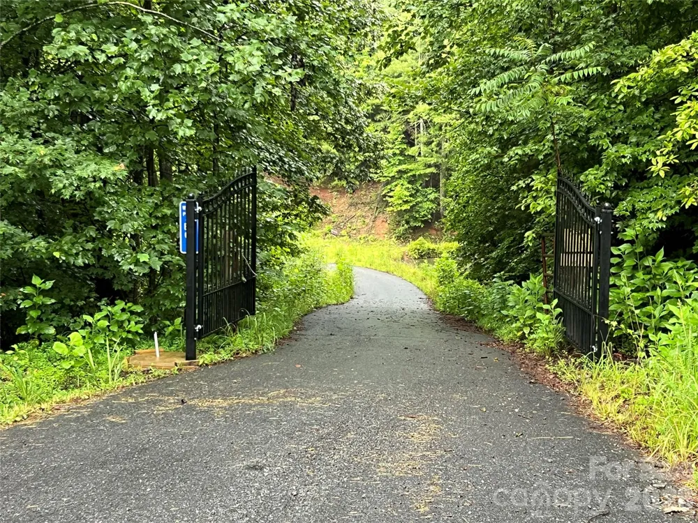 TBD Staghorn Road Purlear, NC 28665