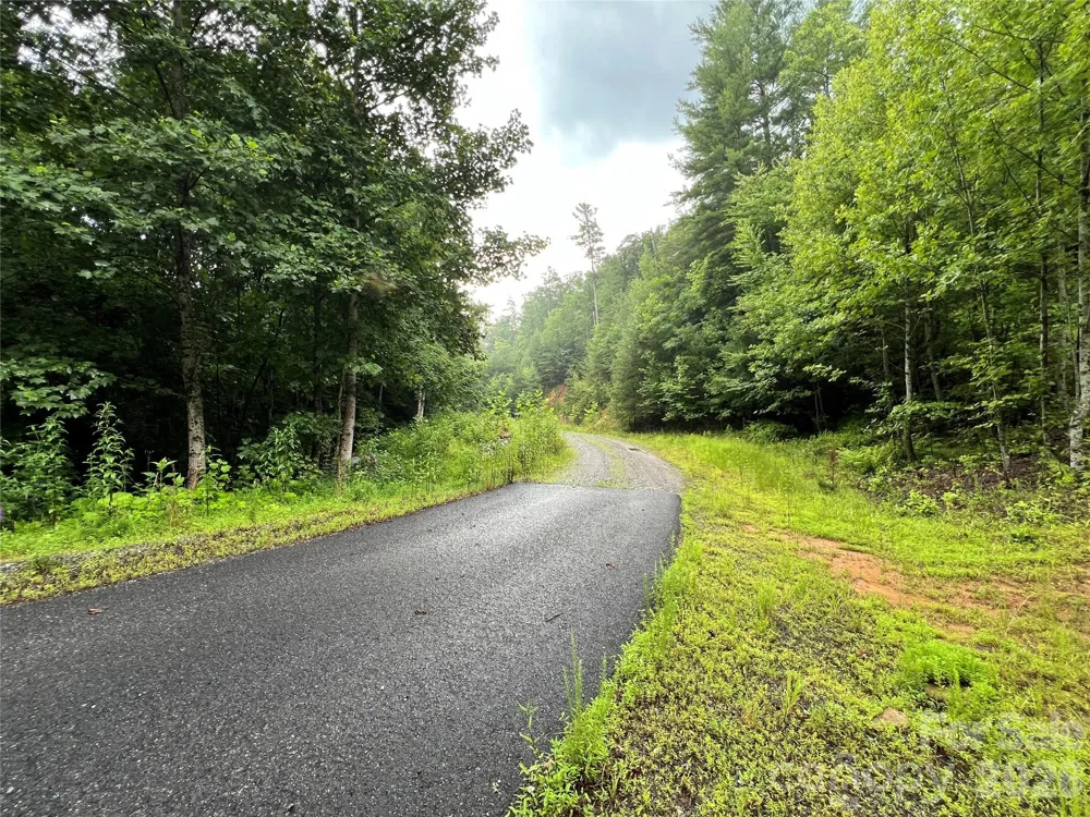 TBD Staghorn Road Purlear, NC 28665
