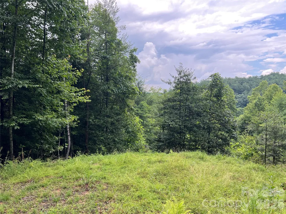 TBD Staghorn Road Purlear, NC 28665