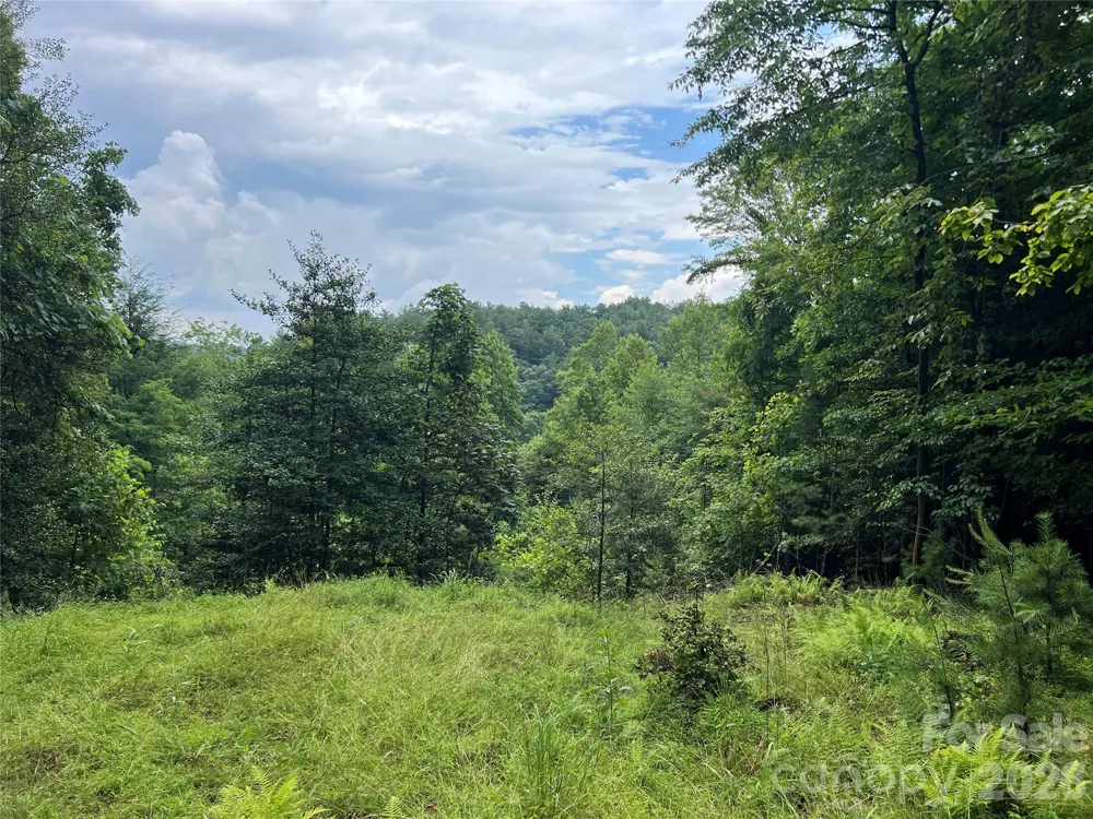 TBD Staghorn Road Purlear, NC 28665