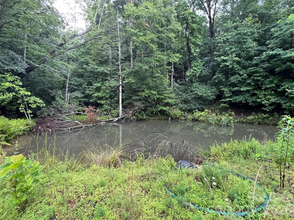TBD Staghorn Road Purlear, NC 28665