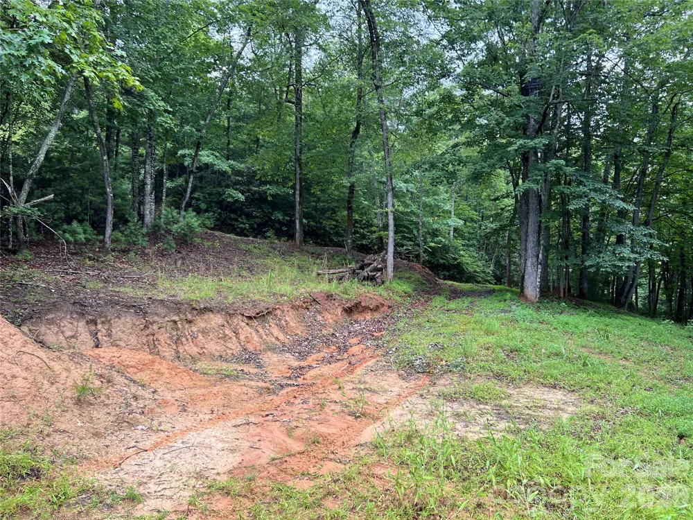 TBD Staghorn Road Purlear, NC 28665