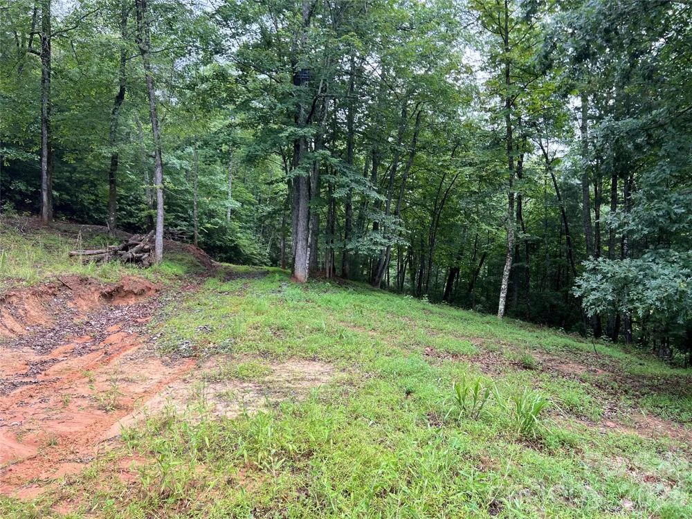 TBD Staghorn Road Purlear, NC 28665