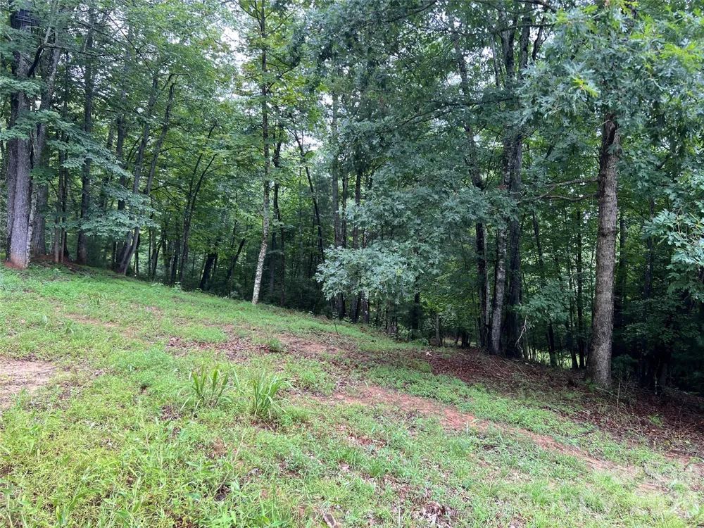 TBD Staghorn Road Purlear, NC 28665