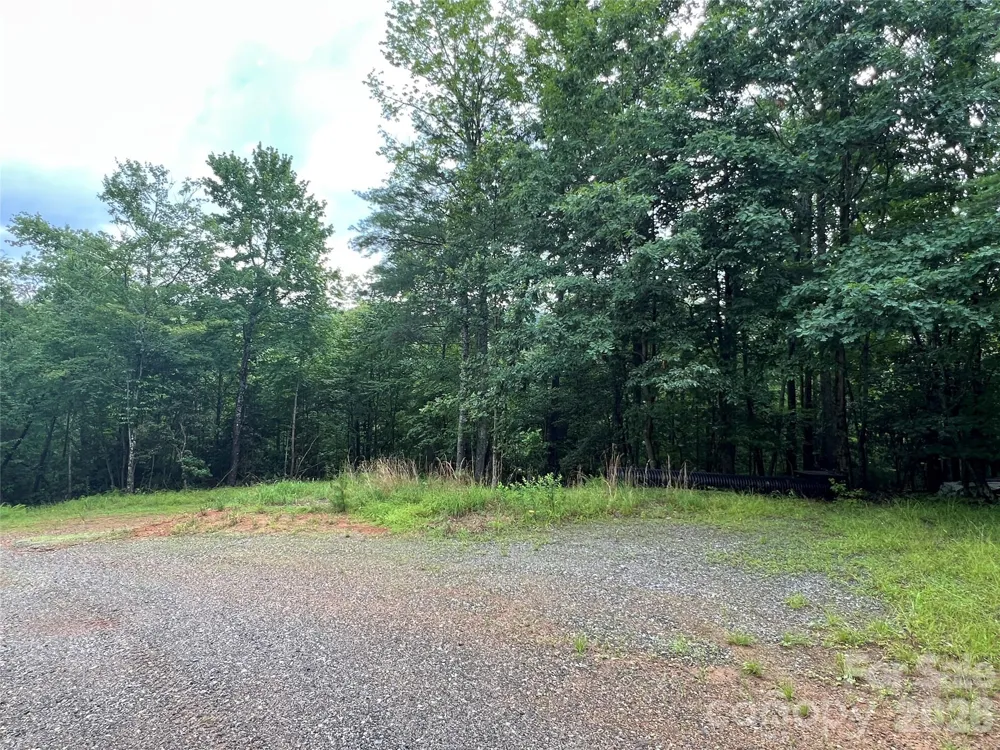 TBD Staghorn Road Purlear, NC 28665