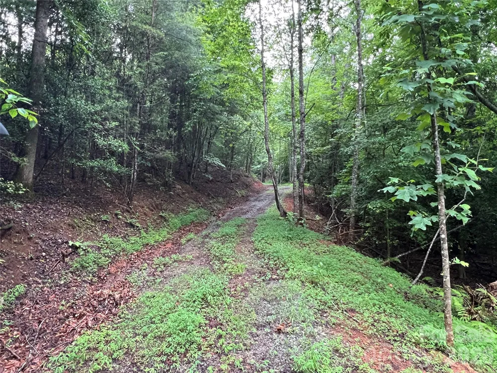 TBD Staghorn Road Purlear, NC 28665