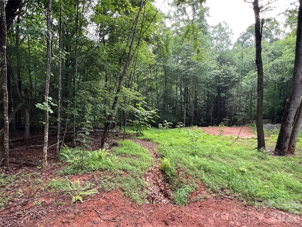 TBD Staghorn Road Purlear, NC 28665