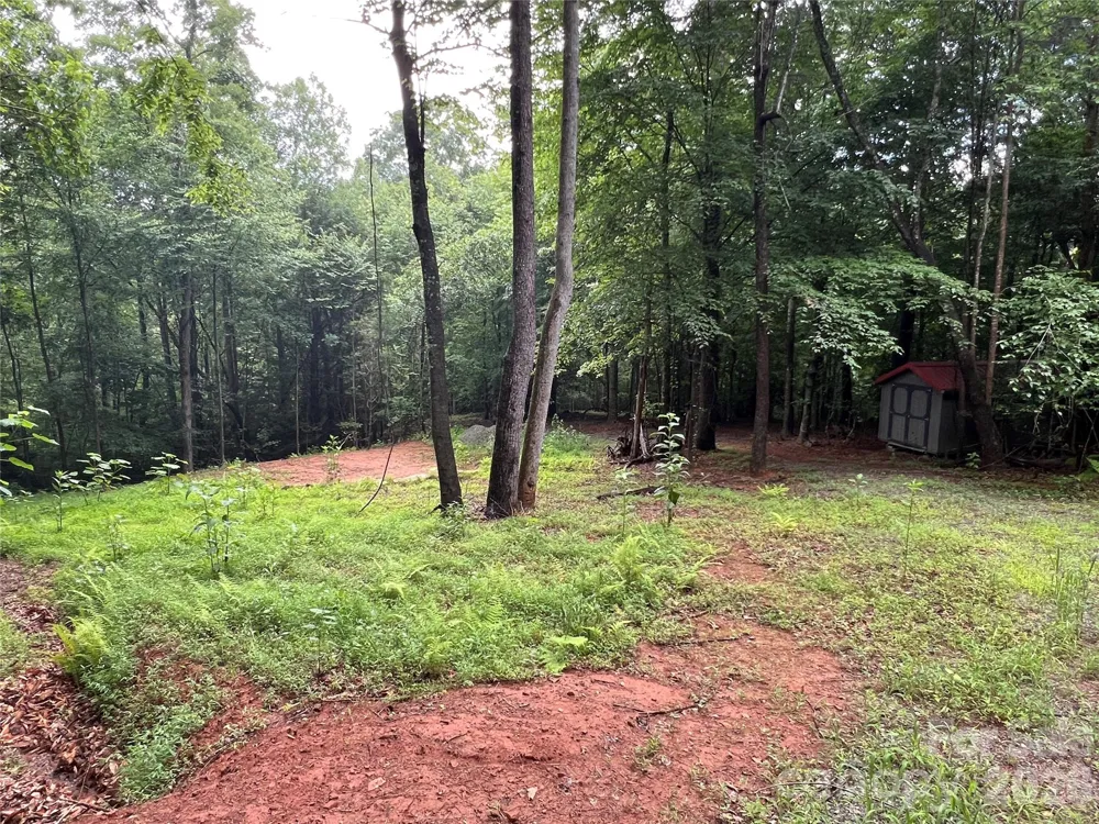 TBD Staghorn Road Purlear, NC 28665