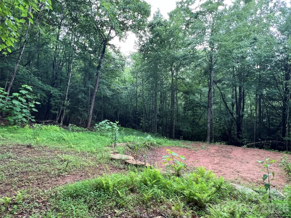 TBD Staghorn Road Purlear, NC 28665